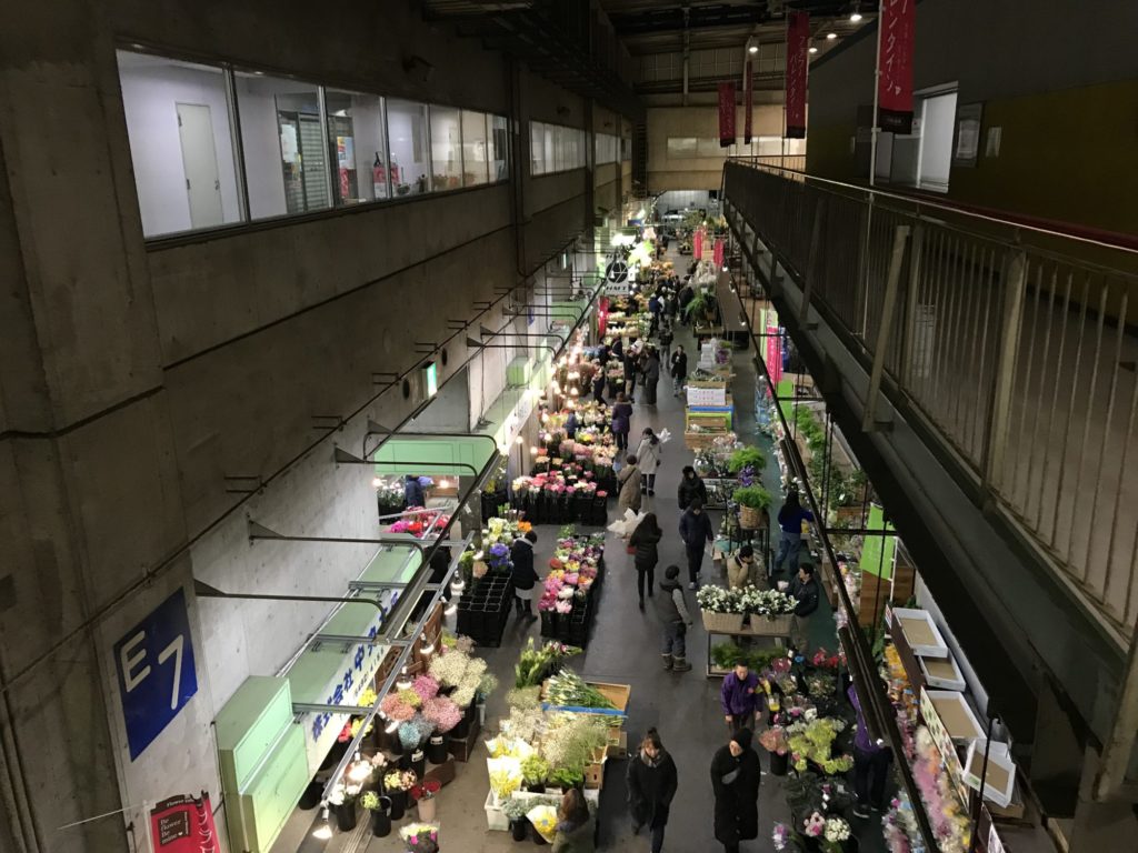 お花の仕入れに行ってきました 大田市場花卉 かき 棟 カエルとき